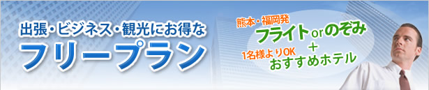 出張・ビジネス・観光にお得なフリープラン